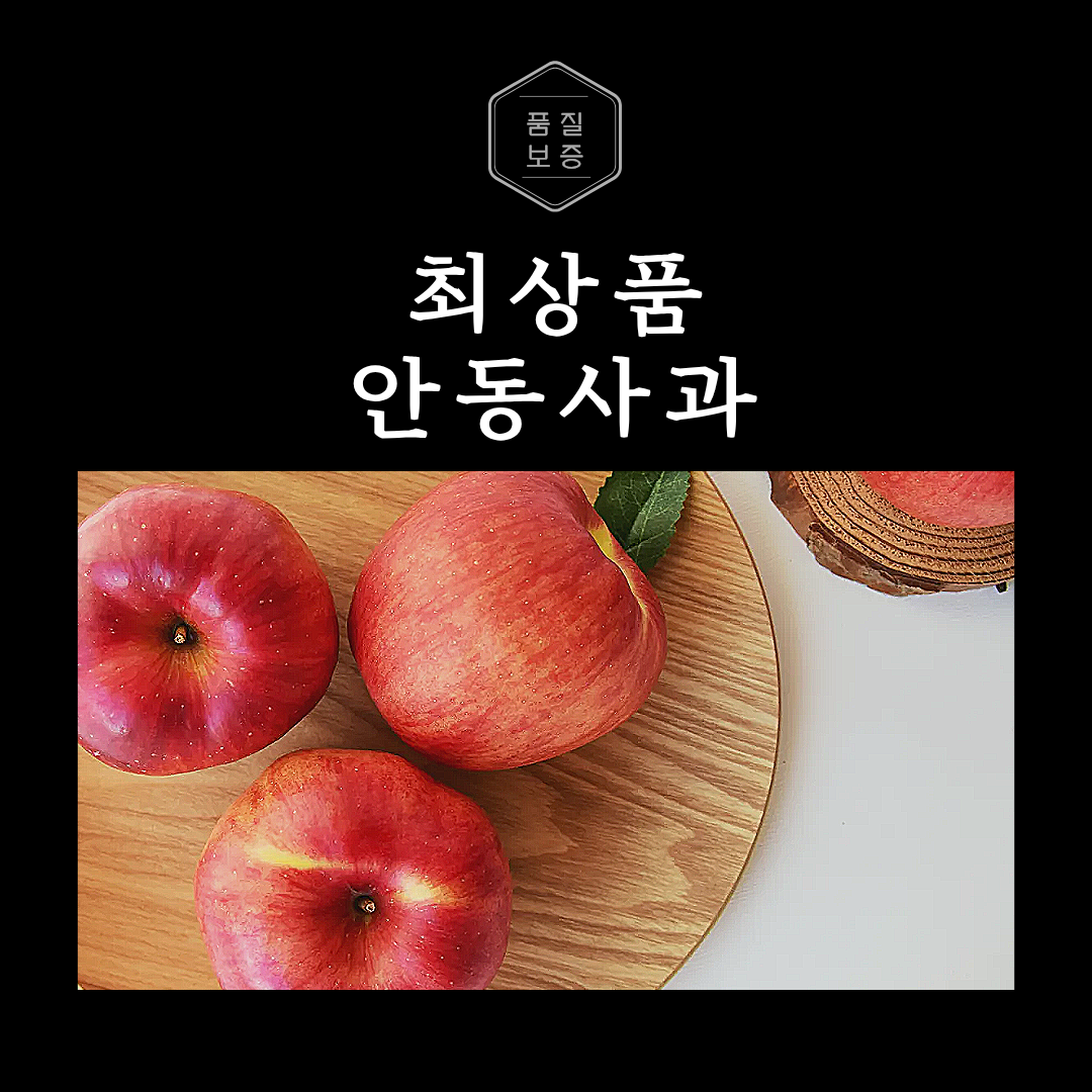 최고의 맛 안동사과 5kg 선물세트